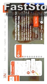 Flexispy Limitations